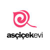 ascicekevi.com